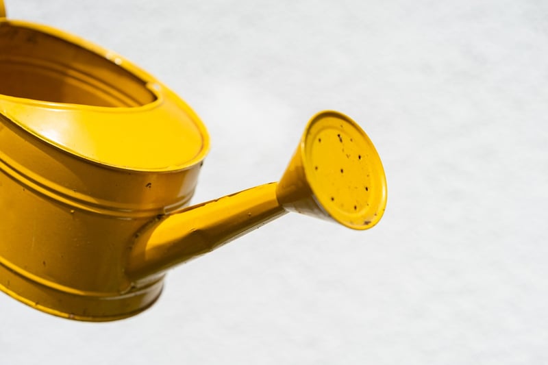 Mystic watering cans