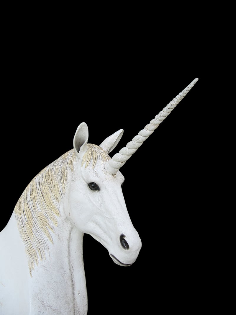 Unicorn meadows